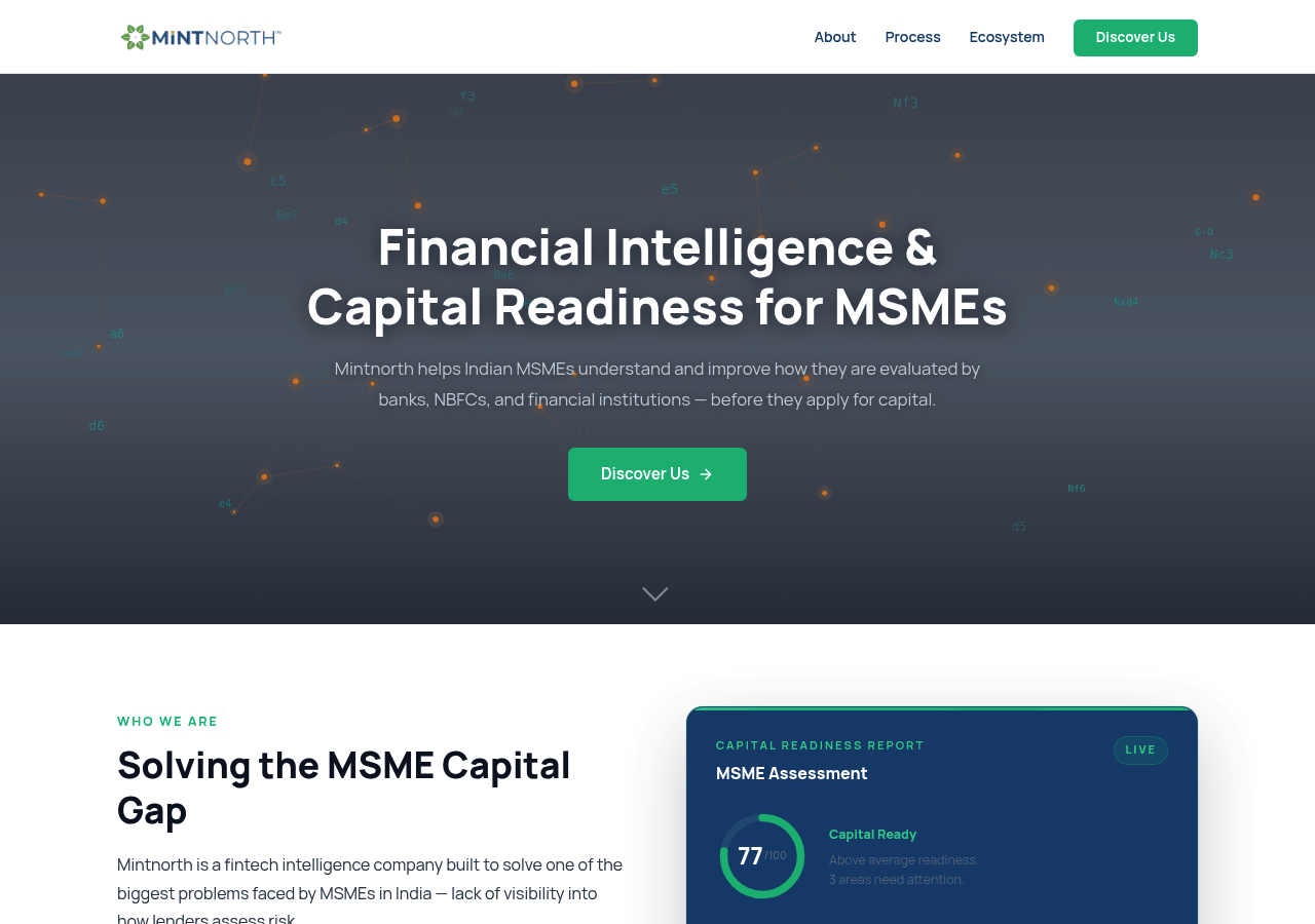 Mintnorth — Financial intelligence for MSMEs